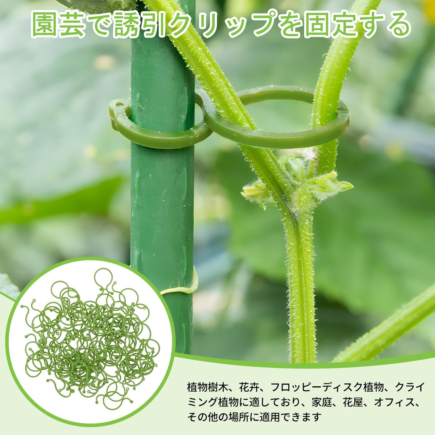 誘引クリップ 植物サポートクリップ (100個入り) 支柱クリップ 園芸 クリップ 庭の植物サポートリング