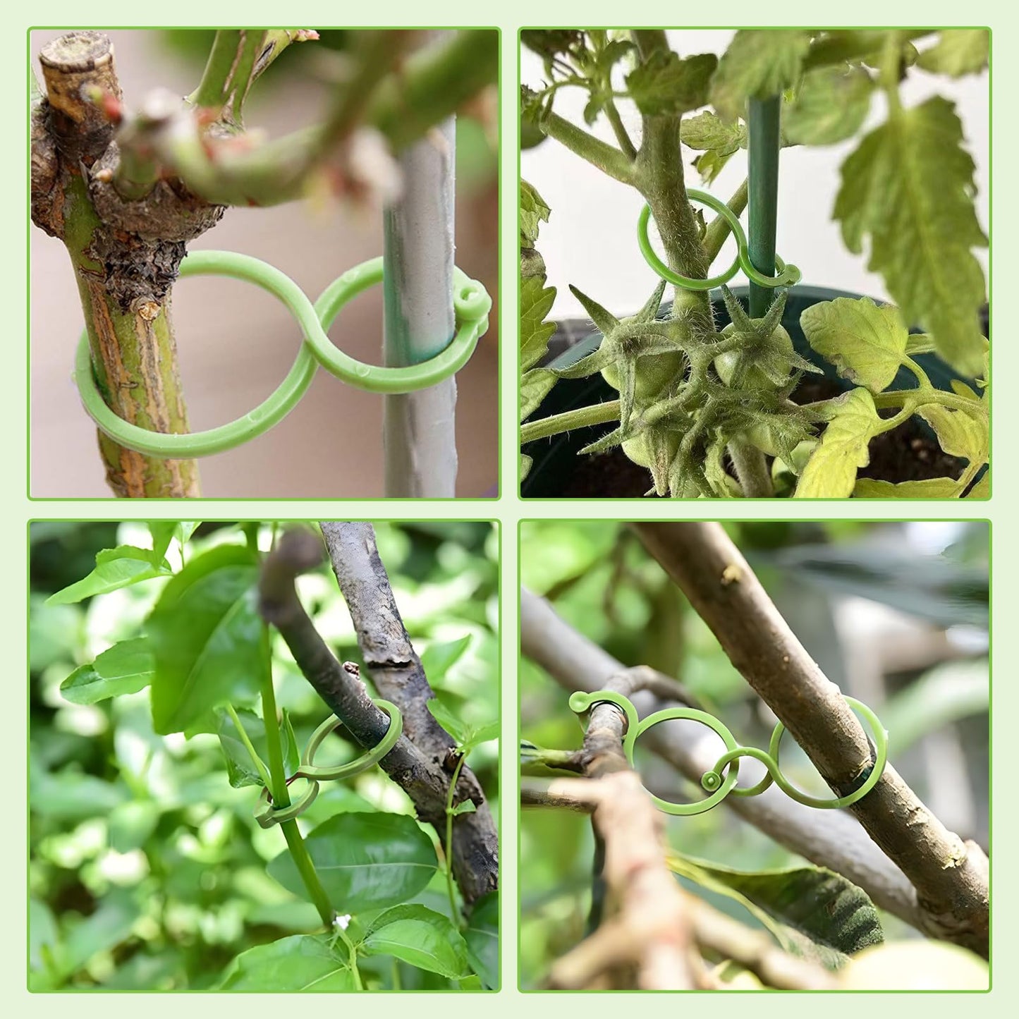 誘引クリップ 植物サポートクリップ (100個入り) 支柱クリップ 園芸 クリップ 庭の植物サポートリング
