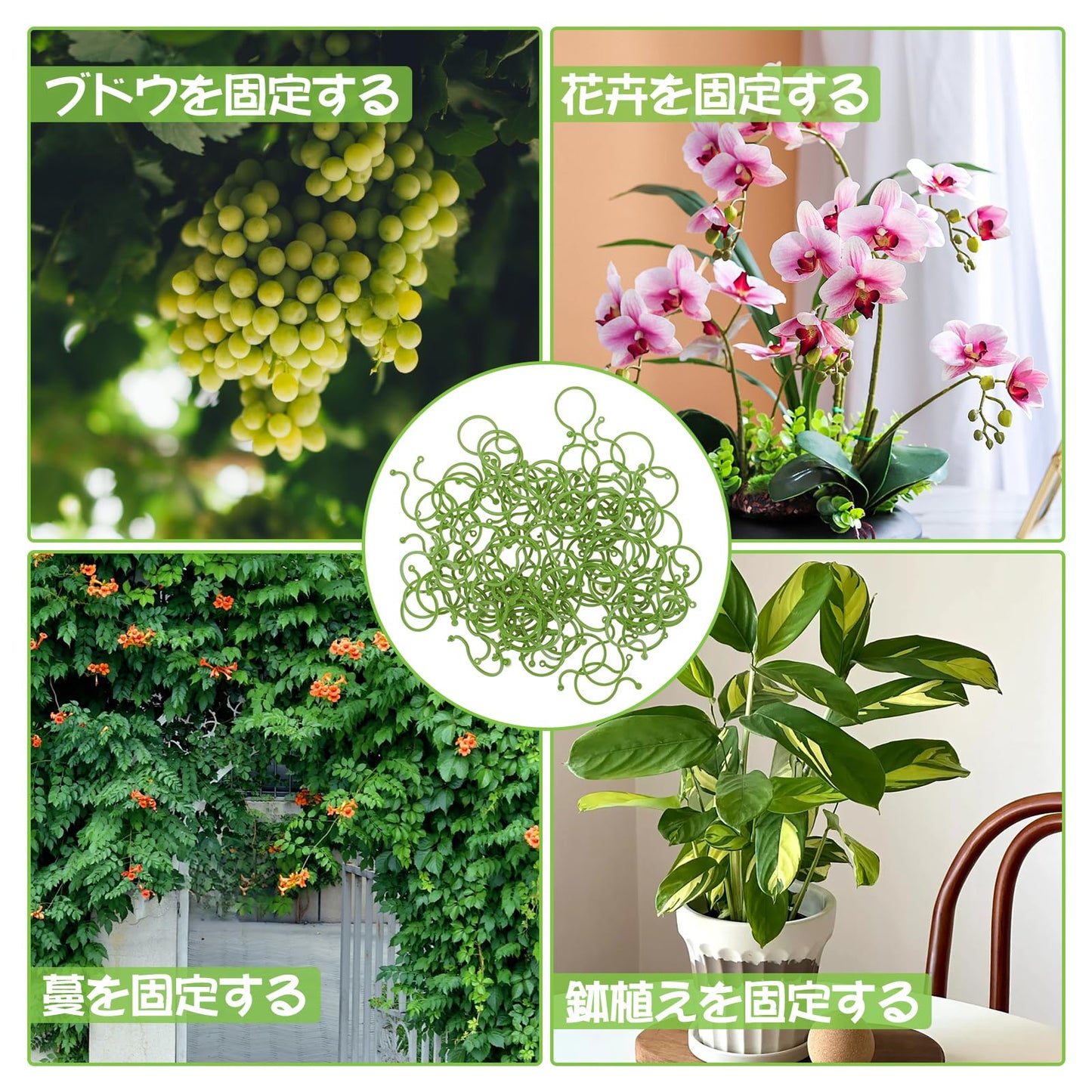 誘引クリップ 植物サポートクリップ (100個入り) 支柱クリップ 園芸 クリップ 庭の植物サポートリング